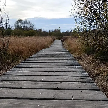 Дом отдыха Toni